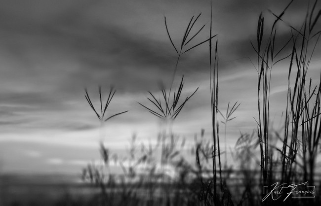 Blurred orange sky at Albion Mauritius taken with Samsung s9 plus